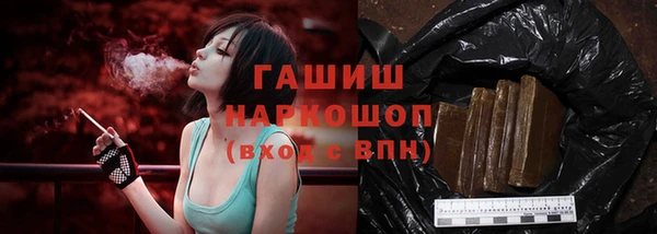 spice Богородск