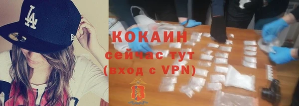 крисы Богданович