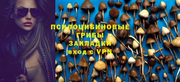 спиды Богородицк