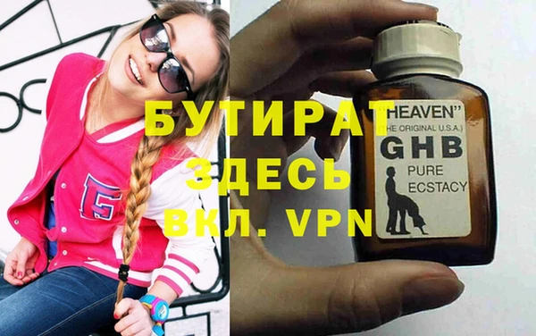 сатива Губаха