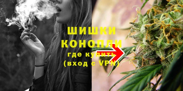 Альфа ПВП Белокуриха
