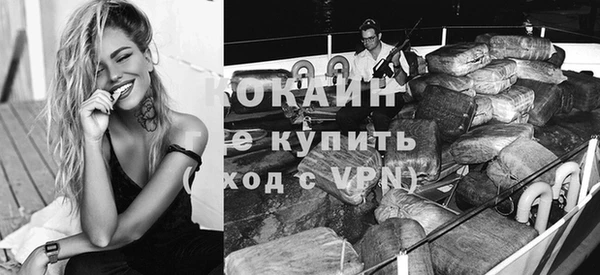 сатива Губаха