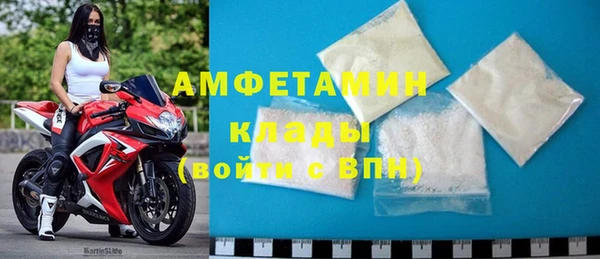 спиды Богородицк