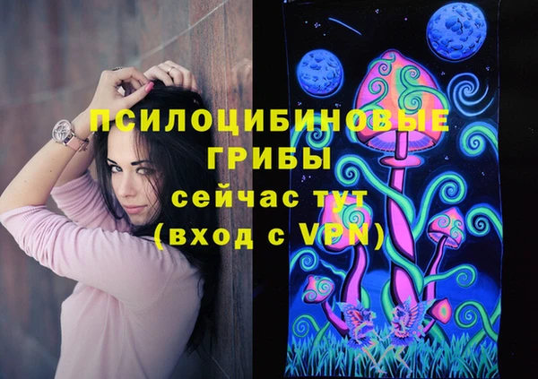 spice Богородск