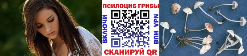 Псилоцибиновые грибы Magic Shrooms  Красный Кут 